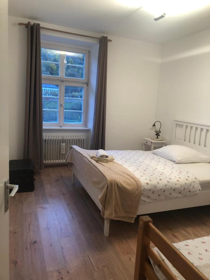 Philosophen Und Neckarblick Apartment Heidelberg Zewnętrze zdjęcie